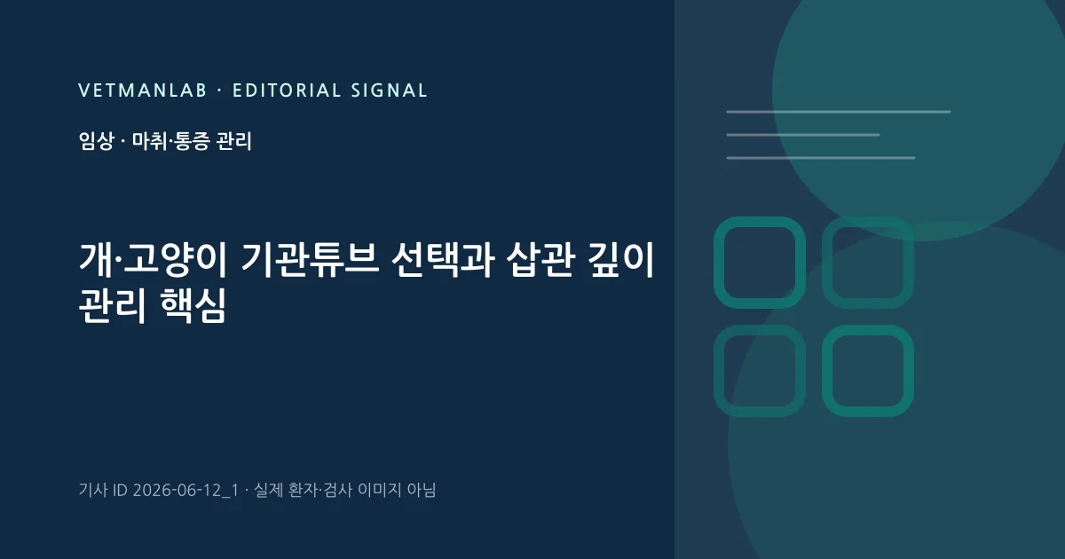 VetManLab 편집용 정보 카드: 개·고양이 기관튜브 선택과 삽관 깊이 관리 핵심. 실제 환자나 검사 사진이 아닌 기사 주제 안내 그래픽입니다.
