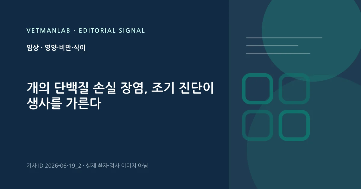 VetManLab 편집용 정보 카드: 개의 단백질 손실 장염, 조기 진단이 생사를 가른다. 실제 환자나 검사 사진이 아닌 기사 주제 안내 그래픽입니다.