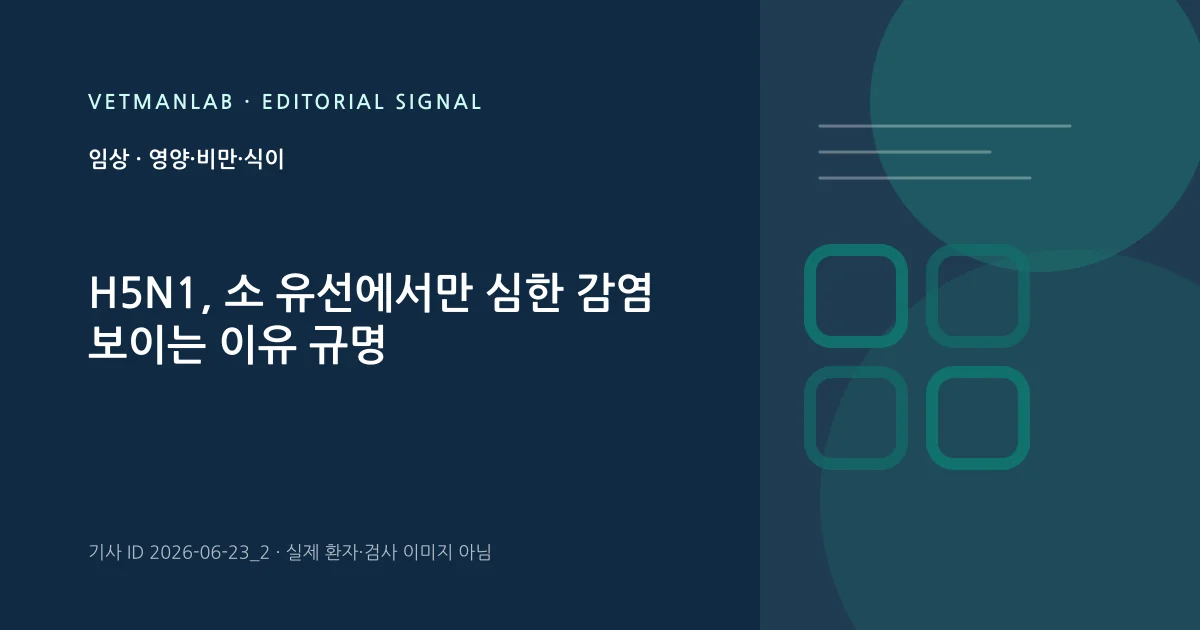 VetManLab 편집용 정보 카드: H5N1, 소 유선에서만 심한 감염 보이는 이유 규명. 실제 환자나 검사 사진이 아닌 기사 주제 안내 그래픽입니다.