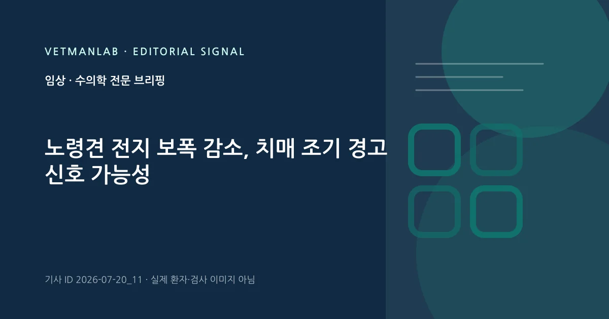 VetManLab 편집용 정보 카드: 노령견 전지 보폭 감소, 치매 조기 경고 신호 가능성. 실제 환자나 검사 사진이 아닌 기사 주제 안내 그래픽입니다.