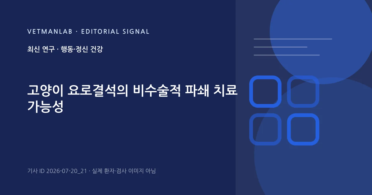 VetManLab 편집용 정보 카드: 고양이 요로결석의 비수술적 파쇄 치료 가능성. 실제 환자나 검사 사진이 아닌 기사 주제 안내 그래픽입니다.