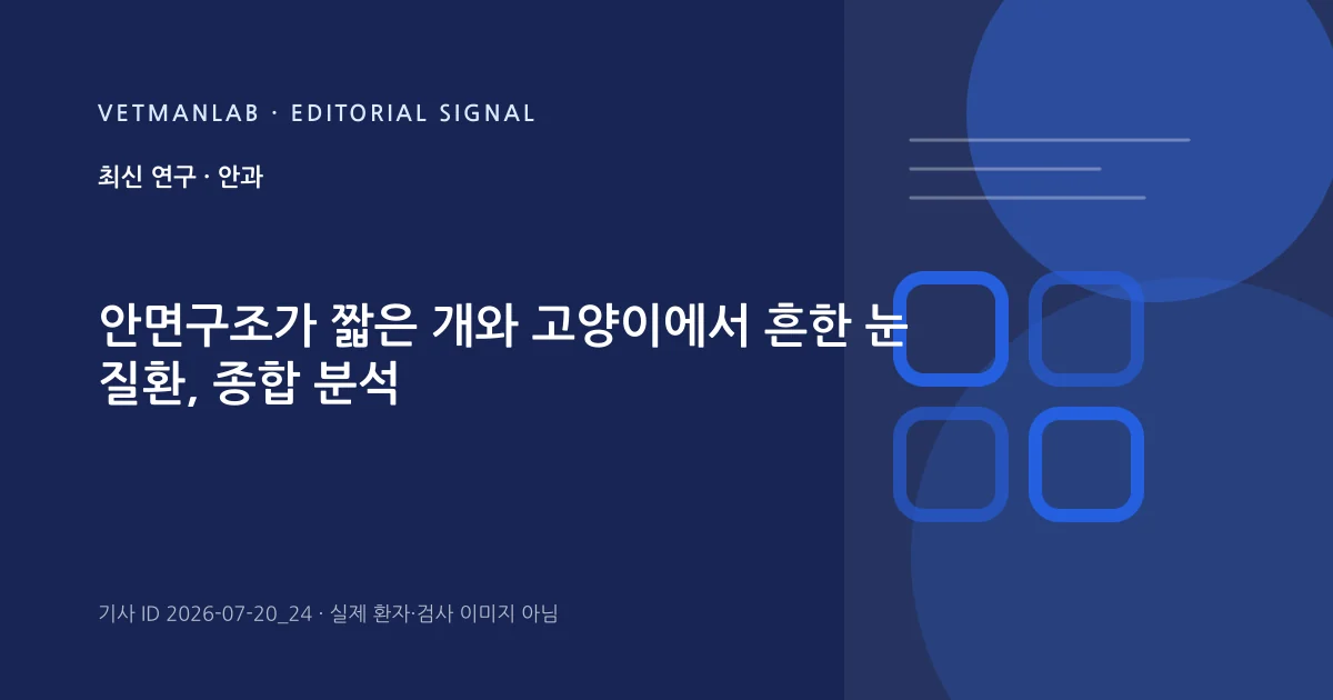 VetManLab 편집용 정보 카드: 안면구조가 짧은 개와 고양이에서 흔한 눈 질환, 종합 분석. 실제 환자나 검사 사진이 아닌 기사 주제 안내 그래픽입니다.