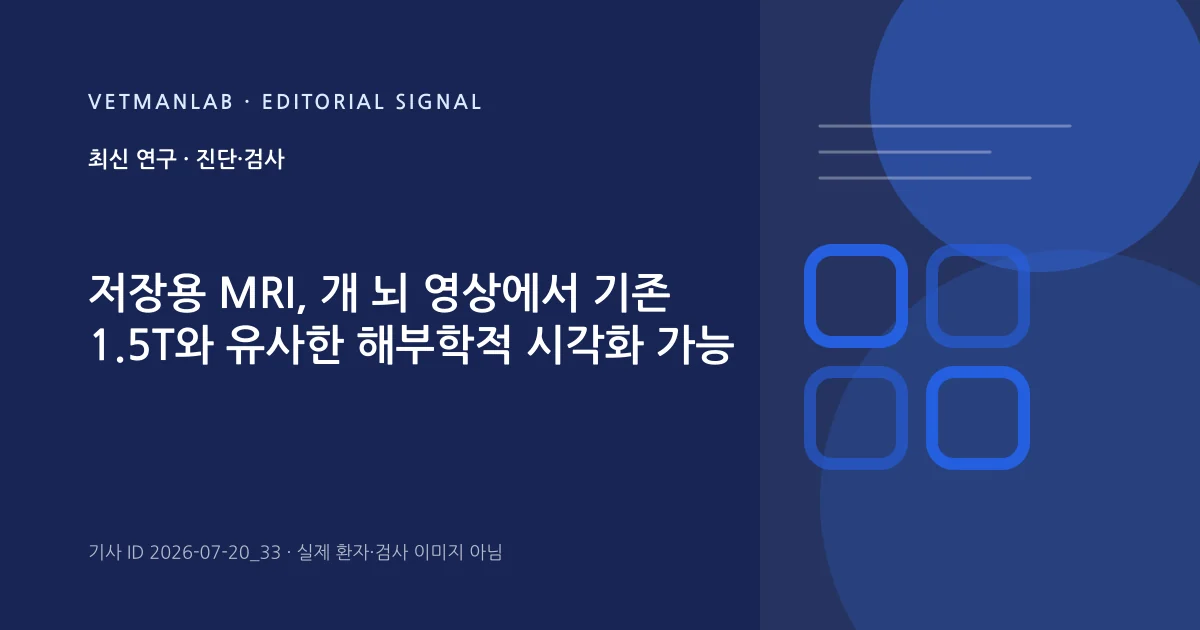 VetManLab 편집용 정보 카드: 저장용 MRI, 개 뇌 영상에서 기존 1.5T와 유사한 해부학적 시각화 가능. 실제 환자나 검사 사진이 아닌 기사 주제 안내 그래픽입니다.