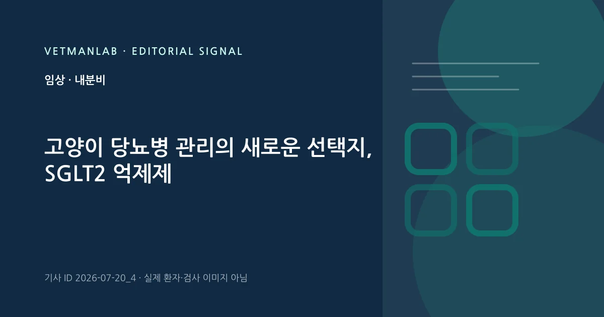 VetManLab 편집용 정보 카드: 고양이 당뇨병 관리의 새로운 선택지, SGLT2 억제제. 실제 환자나 검사 사진이 아닌 기사 주제 안내 그래픽입니다.