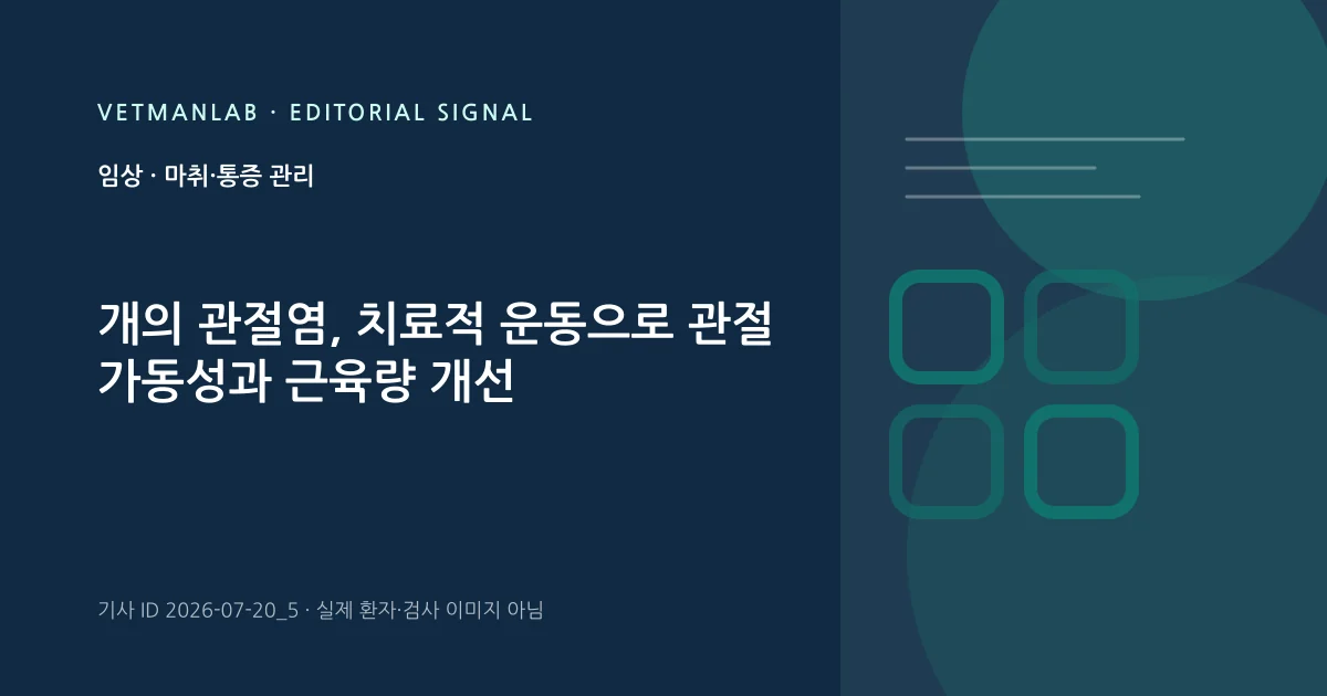 VetManLab 편집용 정보 카드: 개의 관절염, 치료적 운동으로 관절 가동성과 근육량 개선. 실제 환자나 검사 사진이 아닌 기사 주제 안내 그래픽입니다.