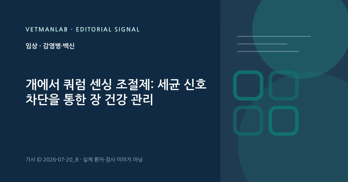 VetManLab 편집용 정보 카드: 개에서 쿼럼 센싱 조절제: 세균 신호 차단을 통한 장 건강 관리. 실제 환자나 검사 사진이 아닌 기사 주제 안내 그래픽입니다.