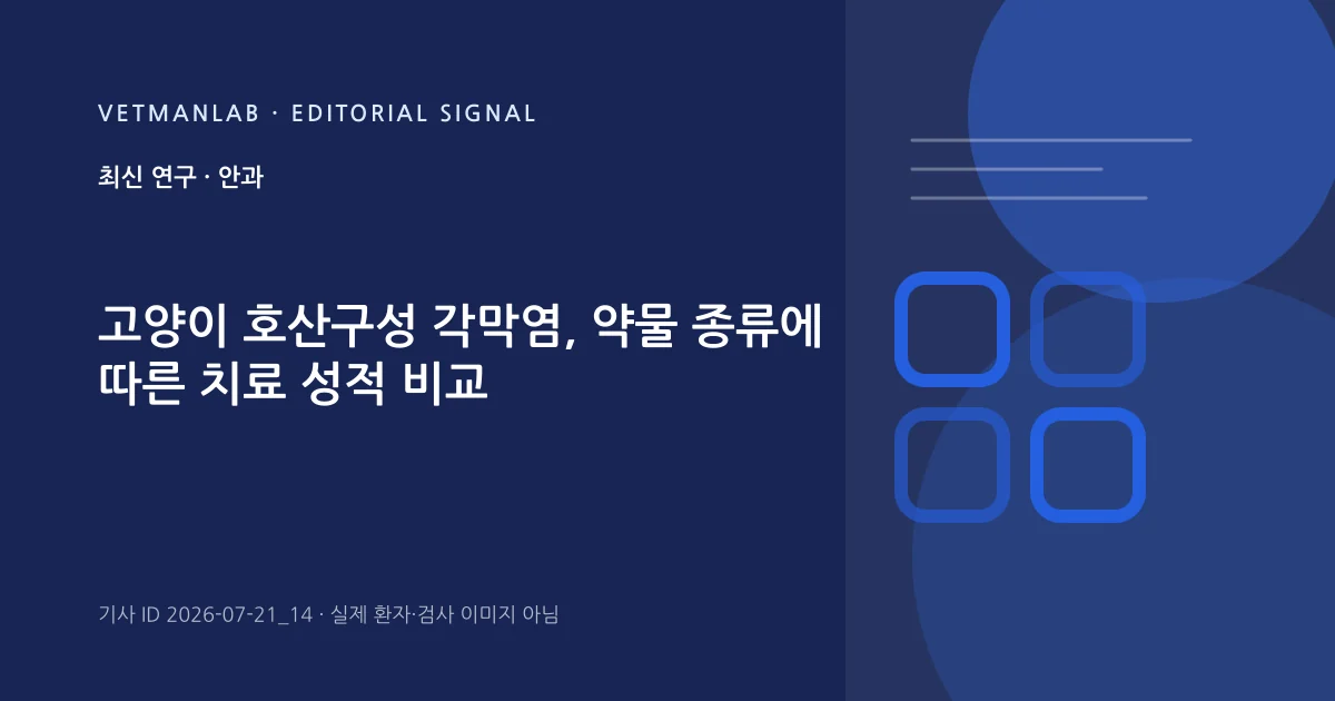 VetManLab 편집용 정보 카드: 고양이 호산구성 각막염, 약물 종류에 따른 치료 성적 비교. 실제 환자나 검사 사진이 아닌 기사 주제 안내 그래픽입니다.