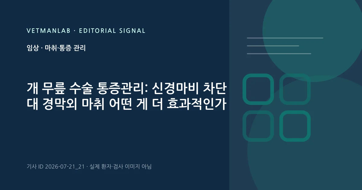 VetManLab 편집용 정보 카드: 개 무릎 수술 통증관리: 신경마비 차단 대 경막외 마취 어떤 게 더 효과적인가. 실제 환자나 검사 사진이 아닌 기사 주제 안내 그래픽입니다.