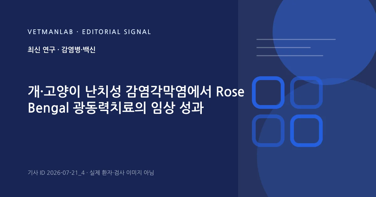 VetManLab 편집용 정보 카드: 개·고양이 난치성 감염각막염에서 Rose Bengal 광동력치료의 임상 성과. 실제 환자나 검사 사진이 아닌 기사 주제 안내 그래픽입니다.