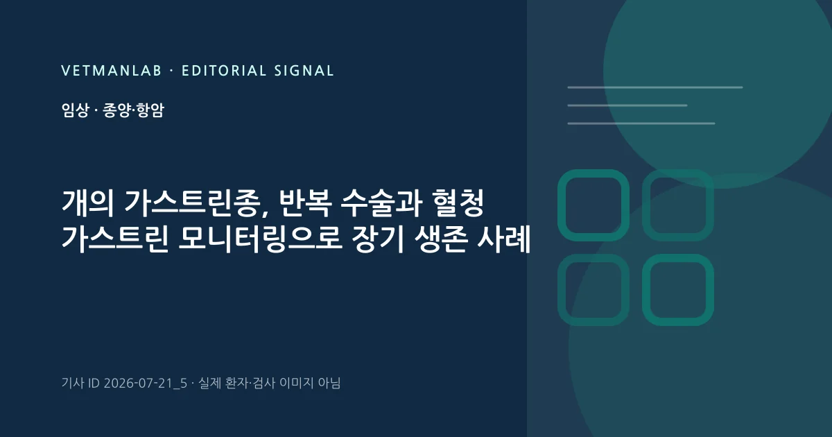 VetManLab 편집용 정보 카드: 개의 가스트린종, 반복 수술과 혈청 가스트린 모니터링으로 장기 생존 사례. 실제 환자나 검사 사진이 아닌 기사 주제 안내 그래픽입니다.