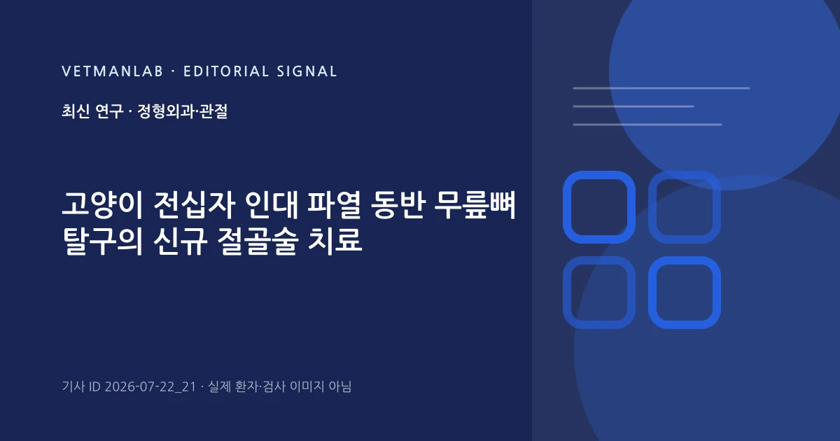 VetManLab 편집용 정보 카드: 고양이 전십자 인대 파열 동반 무릎뼈 탈구의 신규 절골술 치료. 실제 환자나 검사 사진이 아닌 기사 주제 안내 그래픽입니다.