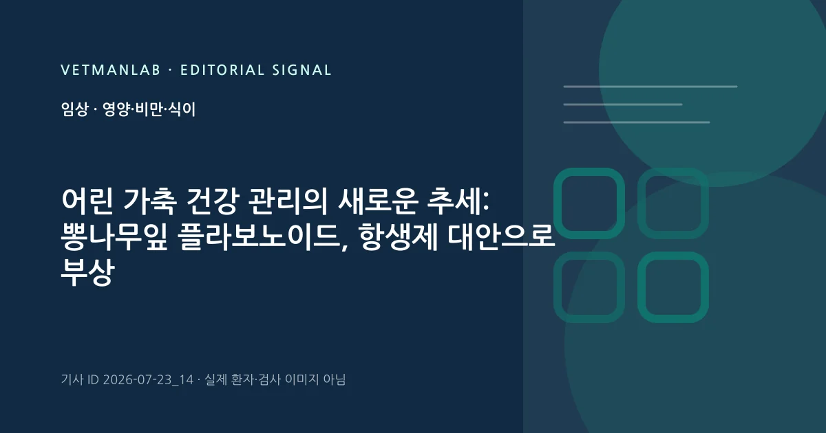VetManLab 편집용 정보 카드: 어린 가축 건강 관리의 새로운 추세: 뽕나무잎 플라보노이드, 항생제 대안으로 부상. 실제 환자나 검사 사진이 아닌 기사 주제 안내 그래픽입니다.
