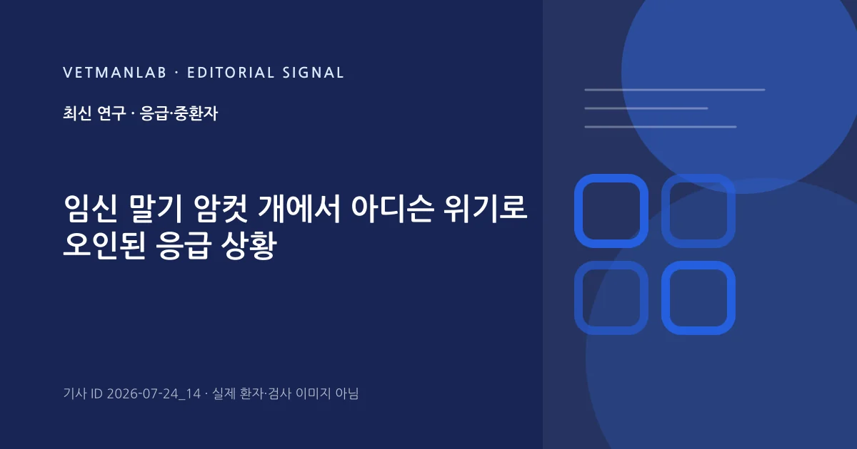 VetManLab 편집용 정보 카드: 임신 말기 암컷 개에서 아디슨 위기로 오인된 응급 상황. 실제 환자나 검사 사진이 아닌 기사 주제 안내 그래픽입니다.