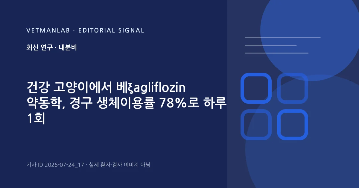 VetManLab 편집용 정보 카드: 건강 고양이에서 베ξagliflozin 약동학, 경구 생체이용률 78%로 하루 1회 투여 적합. 실제 환자나 검사 사진이 아닌 기사 주제 안내 그래픽입니다.