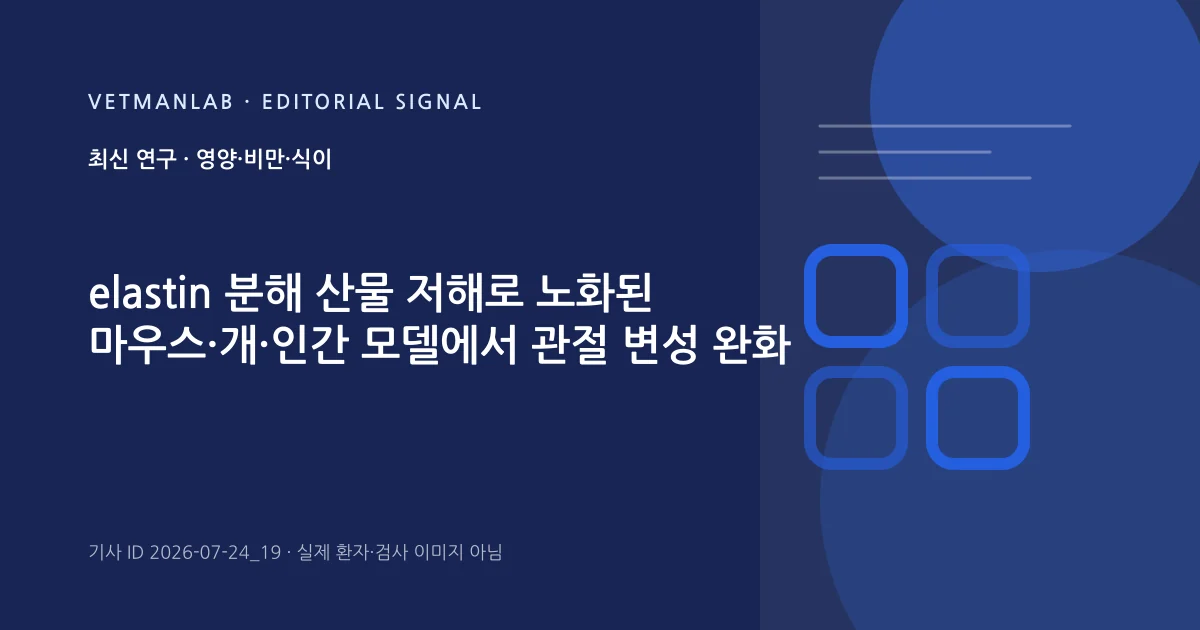 VetManLab 편집용 정보 카드: elastin 분해 산물 저해로 노화된 마우스·개·인간 모델에서 관절 변성 완화. 실제 환자나 검사 사진이 아닌 기사 주제 안내 그래픽입니다.