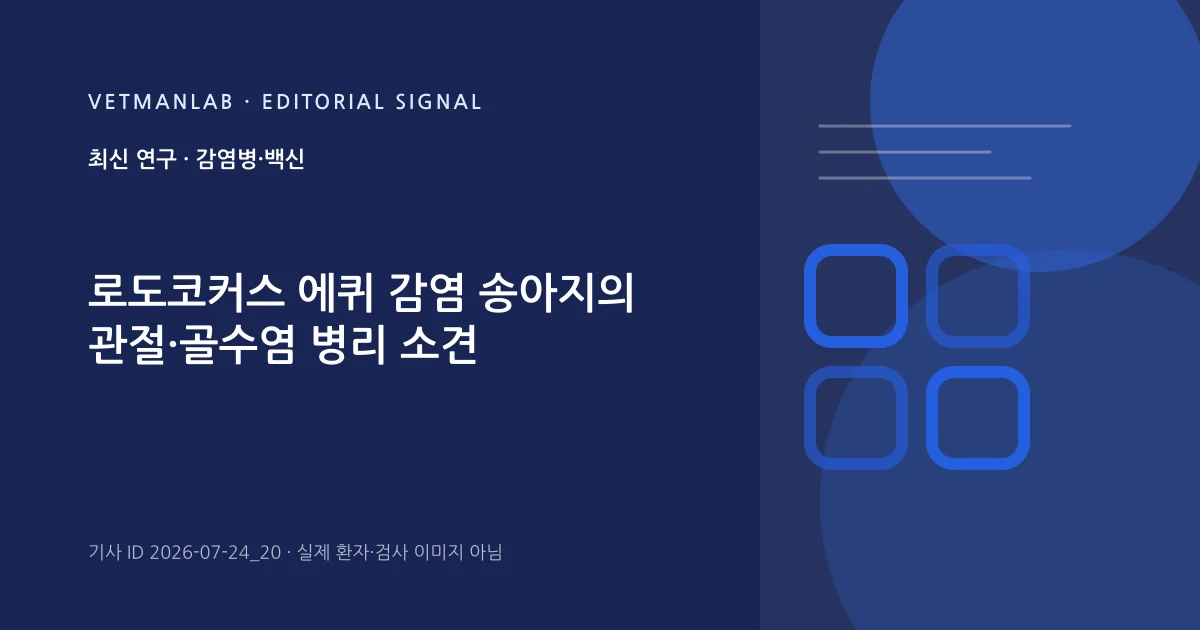 VetManLab 편집용 정보 카드: 로도코커스 에퀴 감염 송아지의 관절·골수염 병리 소견. 실제 환자나 검사 사진이 아닌 기사 주제 안내 그래픽입니다.