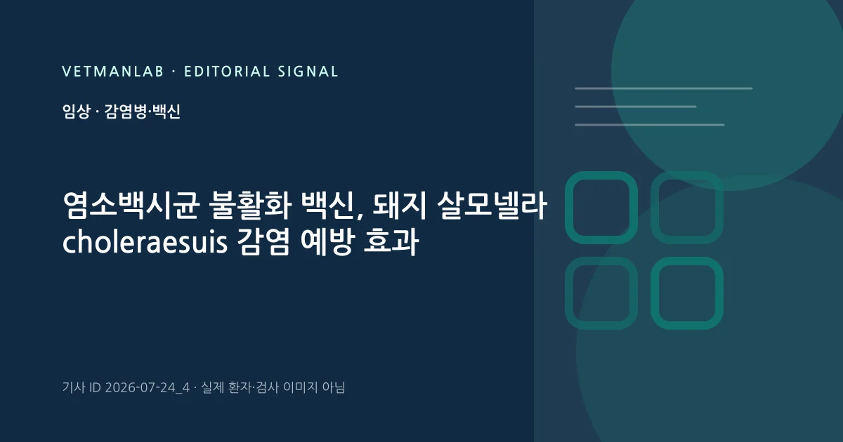 VetManLab 편집용 정보 카드: 염소백시균 불활화 백신, 돼지 살모넬라 choleraesuis 감염 예방 효과. 실제 환자나 검사 사진이 아닌 기사 주제 안내 그래픽입니다.