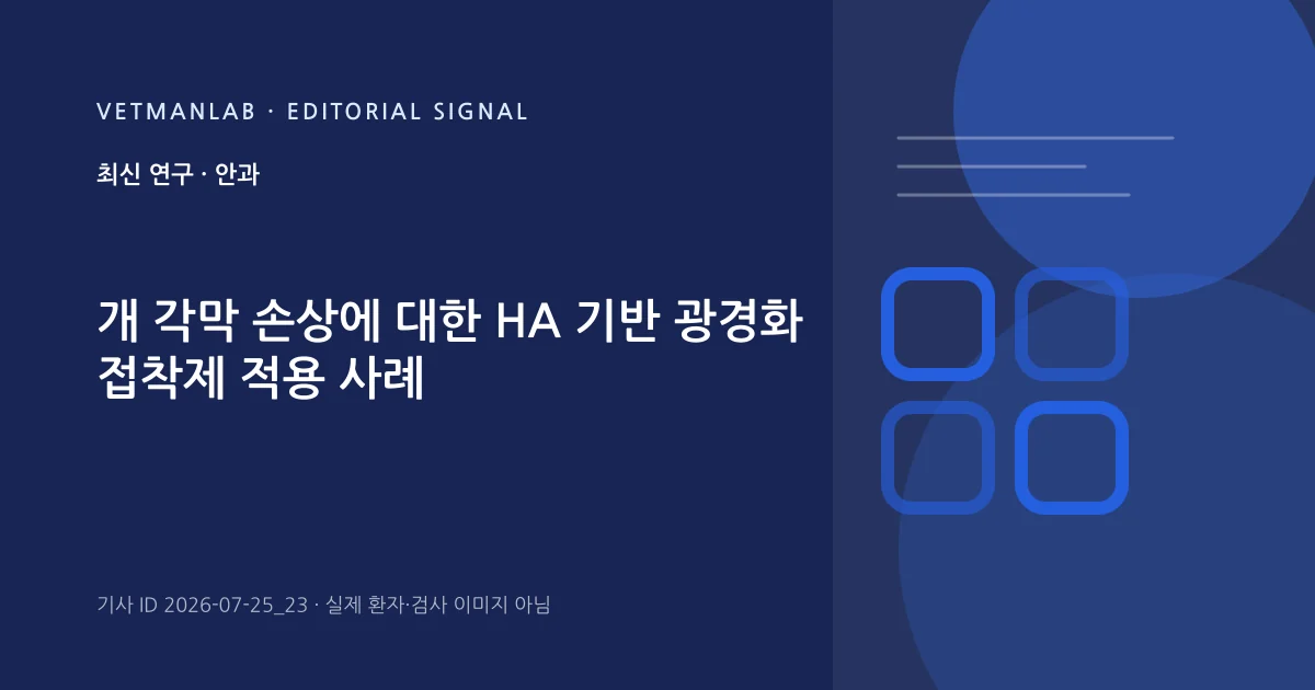 VetManLab 편집용 정보 카드: 개 각막 손상에 대한 HA 기반 광경화 접착제 적용 사례. 실제 환자나 검사 사진이 아닌 기사 주제 안내 그래픽입니다.