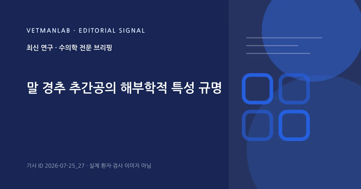 VetManLab 편집용 정보 카드: 말 경추 추간공의 해부학적 특성 규명. 실제 환자나 검사 사진이 아닌 기사 주제 안내 그래픽입니다.