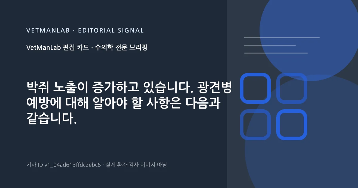 VetManLab 편집용 정보 카드: 박쥐 노출이 증가하고 있습니다. 광견병 예방에 대해 알아야 할 사항은 다음과 같습니다.. 실제 환자나 검사 사진이 아닌 기사 주제 안내 그래픽입니다.