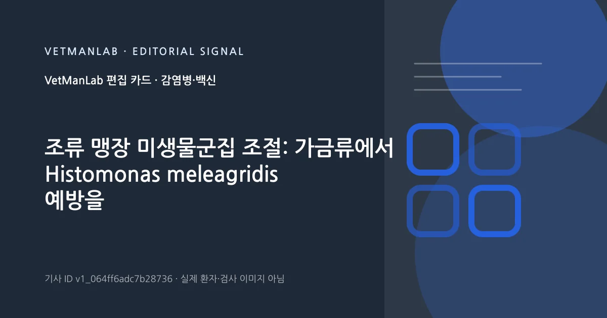 VetManLab 편집용 정보 카드: 조류 맹장 미생물군집 조절: 가금류에서 Histomonas meleagridis 예방을 위한 프로바이오틱스. 실제 환자나 검사 사진이 아닌 기사 주제 안내 그래픽입니다.