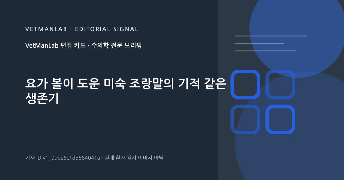 VetManLab 편집용 정보 카드: 요가 볼이 도운 미숙 조랑말의 기적 같은 생존기. 실제 환자나 검사 사진이 아닌 기사 주제 안내 그래픽입니다.