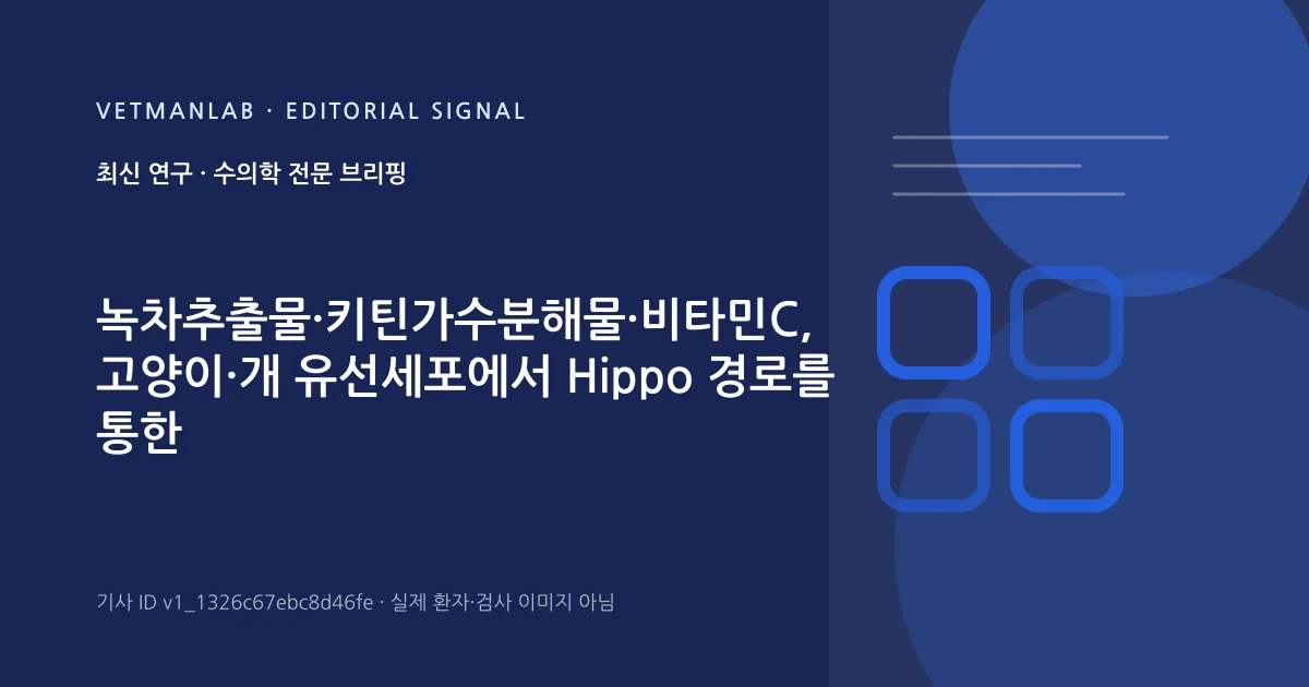 VetManLab 편집용 정보 카드: 녹차추출물·키틴가수분해물·비타민C, 고양이·개 유선세포에서 Hippo 경로를 통한 항노화 효과 확인. 실제 환자나 검사 사진이 아닌 기사 주제 안내 그래픽입니다.