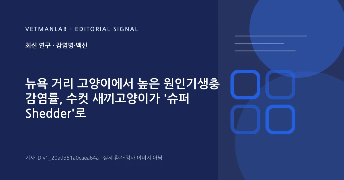 VetManLab 편집용 정보 카드: 뉴욕 거리 고양이에서 높은 원인기생충 감염률, 수컷 새끼고양이가 '슈퍼 Shedder'로 확인. 실제 환자나 검사 사진이 아닌 기사 주제 안내 그래픽입니다.