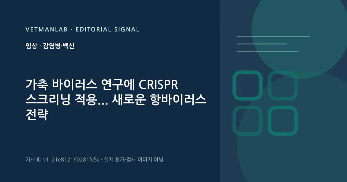 VetManLab 편집용 정보 카드: 가축 바이러스 연구에 CRISPR 스크리닝 적용... 새로운 항바이러스 전략 개발 전망. 실제 환자나 검사 사진이 아닌 기사 주제 안내 그래픽입니다.