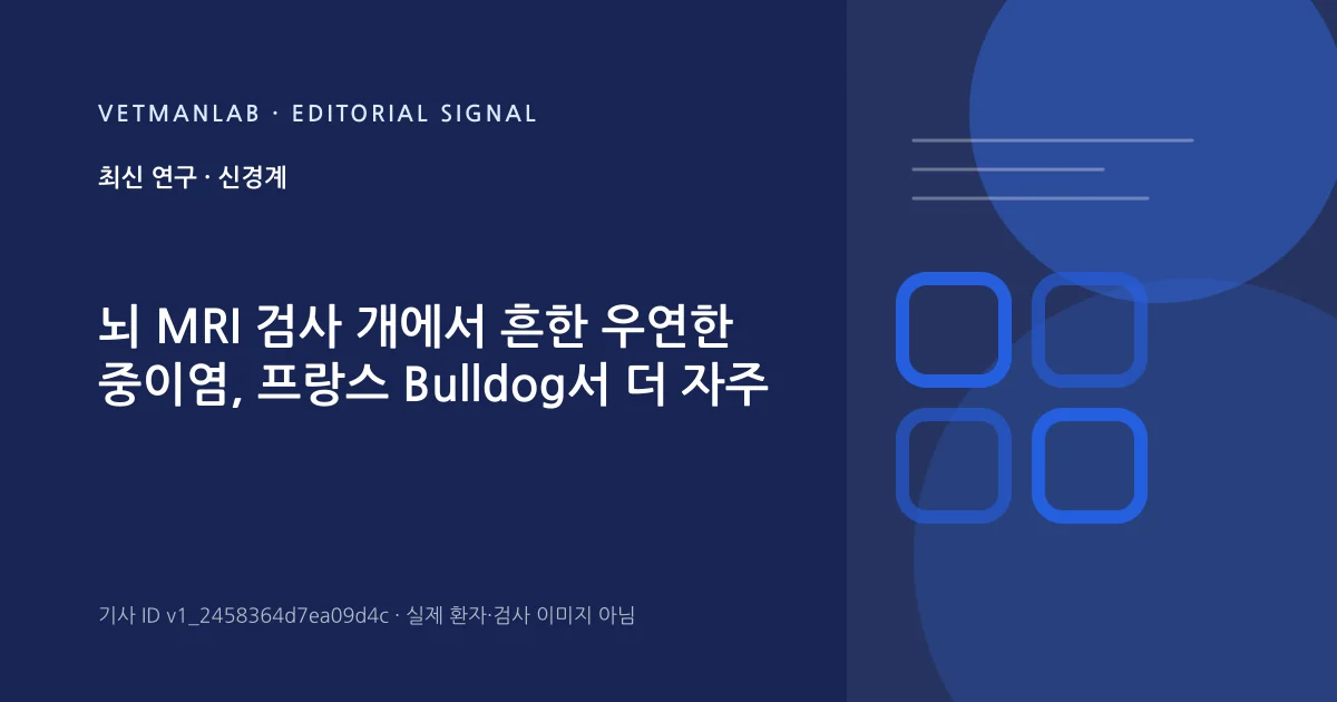VetManLab 편집용 정보 카드: 뇌 MRI 검사 개에서 흔한 우연한 중이염, 프랑스 Bulldog서 더 자주. 실제 환자나 검사 사진이 아닌 기사 주제 안내 그래픽입니다.