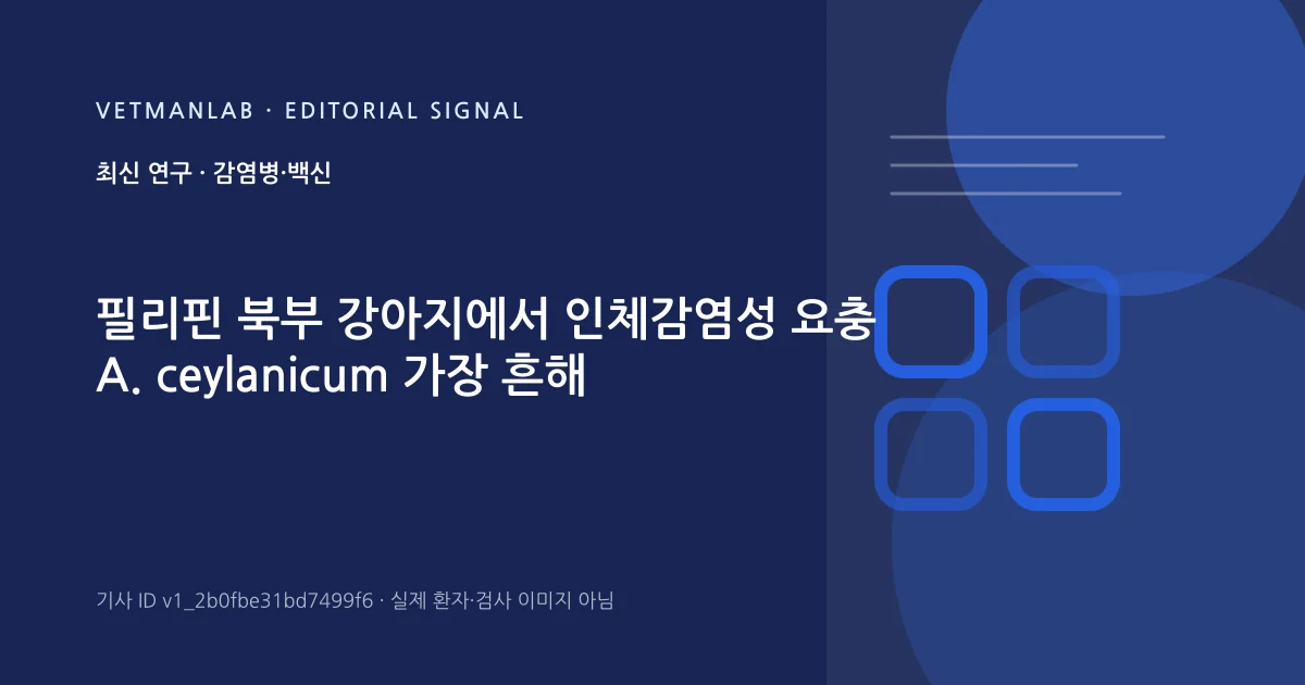 VetManLab 편집용 정보 카드: 필리핀 북부 강아지에서 인체감염성 요충 A. ceylanicum 가장 흔해. 실제 환자나 검사 사진이 아닌 기사 주제 안내 그래픽입니다.
