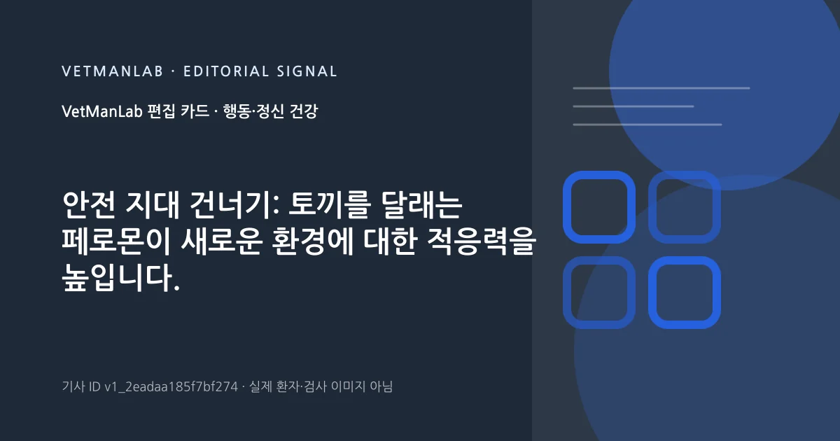 VetManLab 편집용 정보 카드: 안전 지대 건너기: 토끼를 달래는 페로몬이 새로운 환경에 대한 적응력을 높입니다.. 실제 환자나 검사 사진이 아닌 기사 주제 안내 그래픽입니다.