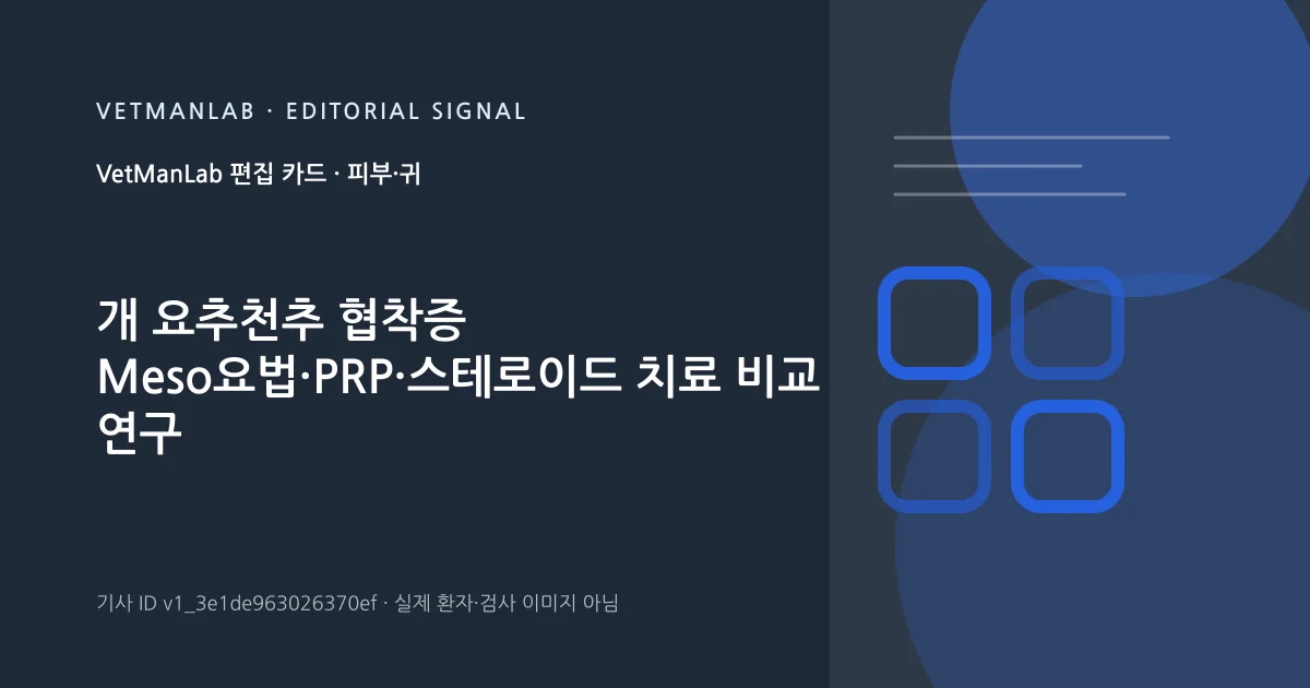 VetManLab 편집용 정보 카드: 개 요추천추 협착증 Meso요법·PRP·스테로이드 치료 비교 연구. 실제 환자나 검사 사진이 아닌 기사 주제 안내 그래픽입니다.