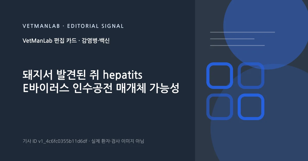 VetManLab 편집용 정보 카드: 돼지서 발견된 쥐 hepatits E바이러스 인수공전 매개체 가능성. 실제 환자나 검사 사진이 아닌 기사 주제 안내 그래픽입니다.