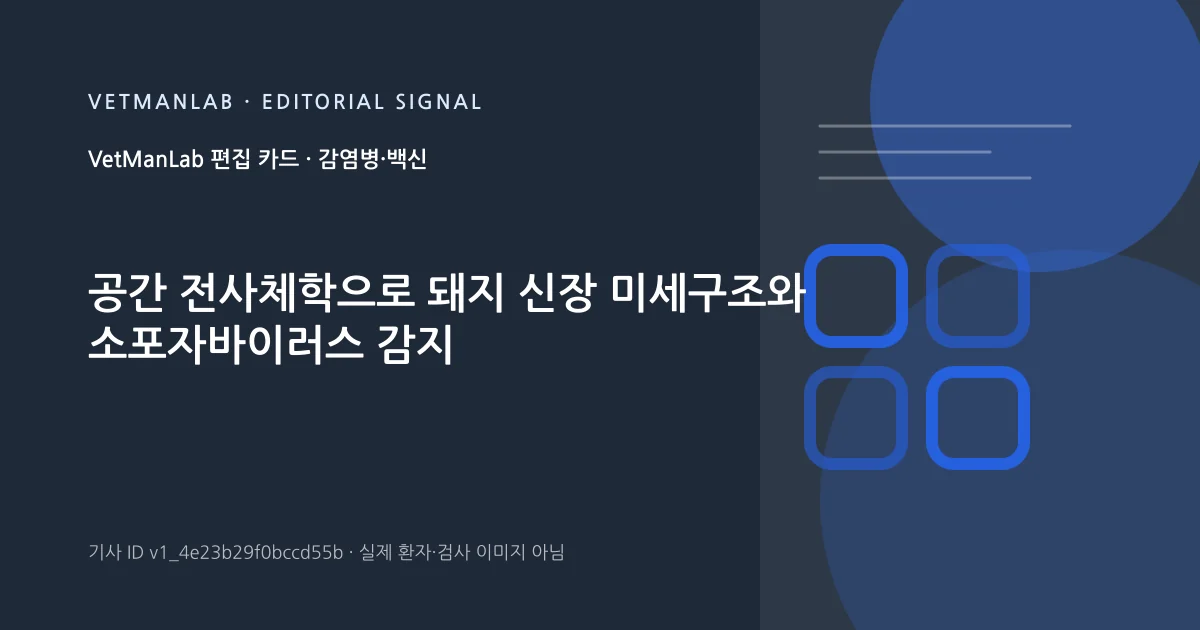 VetManLab 편집용 정보 카드: 공간 전사체학으로 돼지 신장 미세구조와 소포자바이러스 감지. 실제 환자나 검사 사진이 아닌 기사 주제 안내 그래픽입니다.