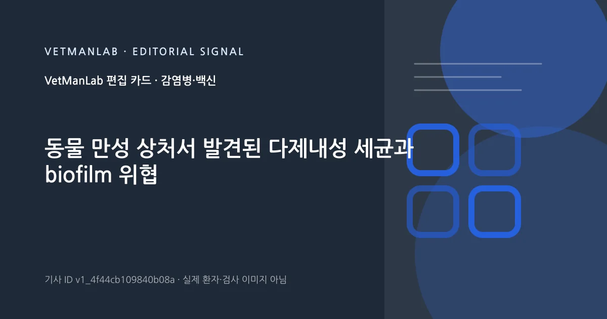 VetManLab 편집용 정보 카드: 동물 만성 상처서 발견된 다제내성 세균과 biofilm 위협. 실제 환자나 검사 사진이 아닌 기사 주제 안내 그래픽입니다.