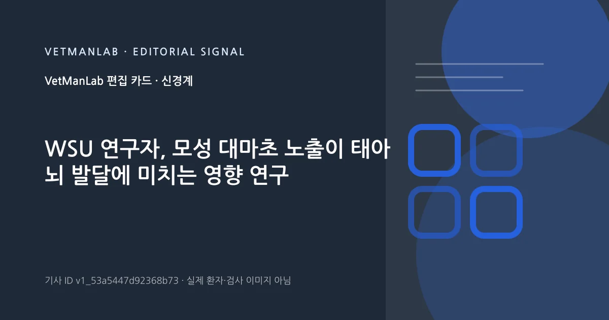 VetManLab 편집용 정보 카드: WSU 연구자, 모성 대마초 노출이 태아 뇌 발달에 미치는 영향 연구. 실제 환자나 검사 사진이 아닌 기사 주제 안내 그래픽입니다.