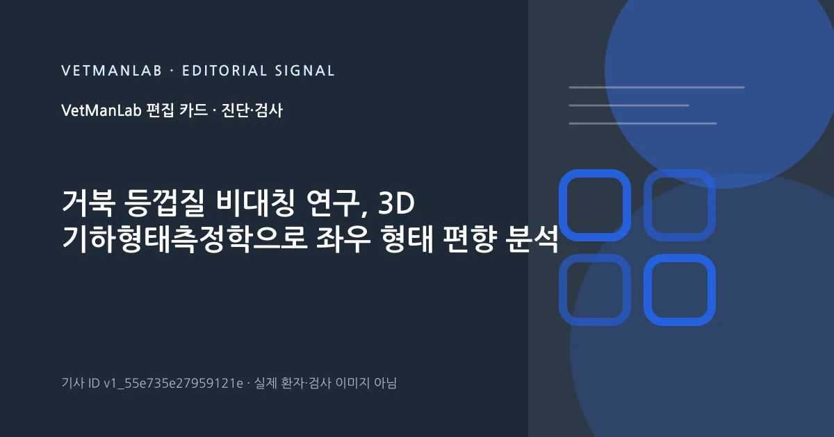 VetManLab 편집용 정보 카드: 거북 등껍질 비대칭 연구, 3D 기하형태측정학으로 좌우 형태 편향 분석. 실제 환자나 검사 사진이 아닌 기사 주제 안내 그래픽입니다.