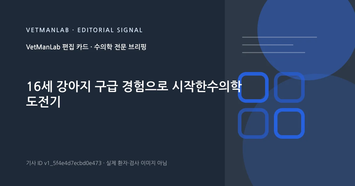 VetManLab 편집용 정보 카드: 16세 강아지 구급 경험으로 시작한수의학 도전기. 실제 환자나 검사 사진이 아닌 기사 주제 안내 그래픽입니다.