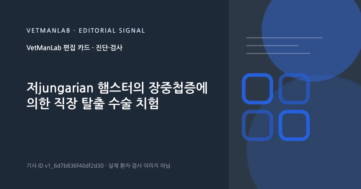 VetManLab 편집용 정보 카드: 저jungarian 햄스터의 장중첩증에 의한 직장 탈출 수술 치험. 실제 환자나 검사 사진이 아닌 기사 주제 안내 그래픽입니다.