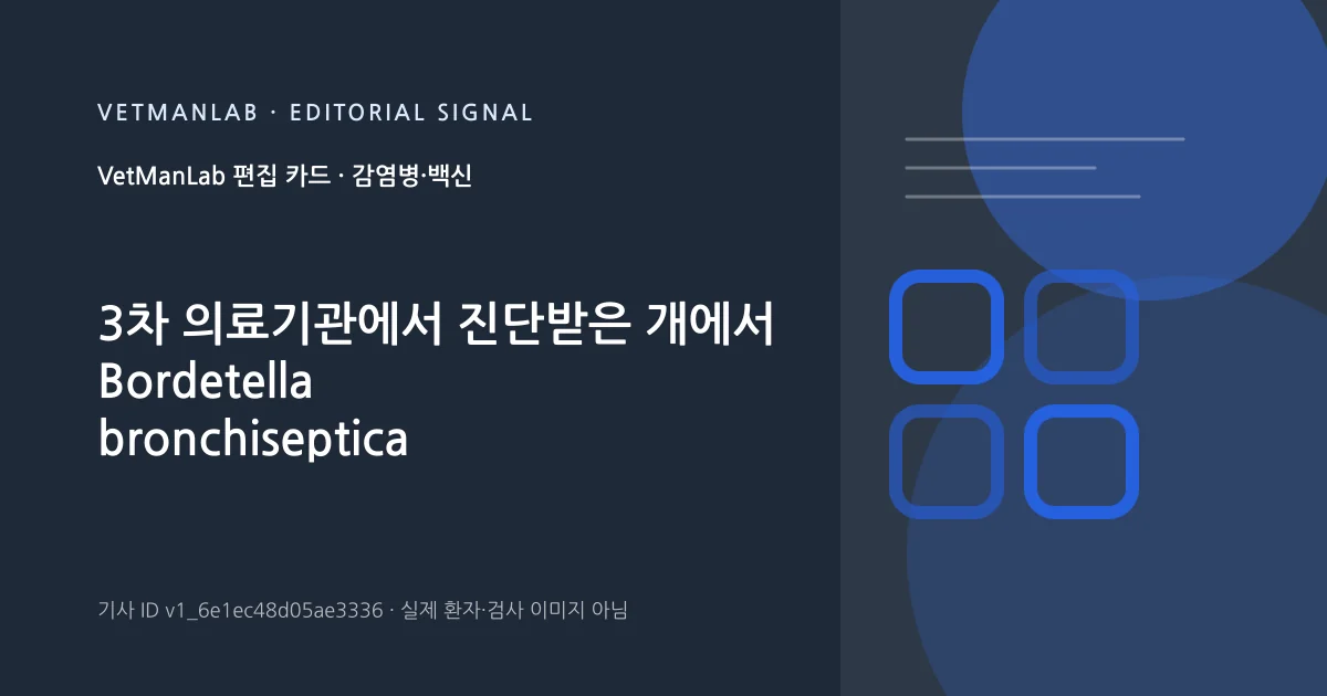 VetManLab 편집용 정보 카드: 3차 의료기관에서 진단받은 개에서 Bordetella bronchiseptica 호흡기 감염의 임상양상, 위험인자 및 결과. 실제 환자나 검사 사진이 아닌 기사 주제 안내 그래픽입니다.