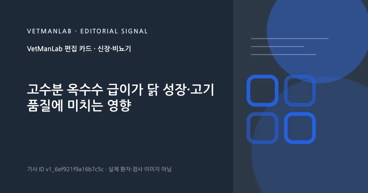 VetManLab 편집용 정보 카드: 고수분 옥수수 급이가 닭 성장·고기 품질에 미치는 영향. 실제 환자나 검사 사진이 아닌 기사 주제 안내 그래픽입니다.