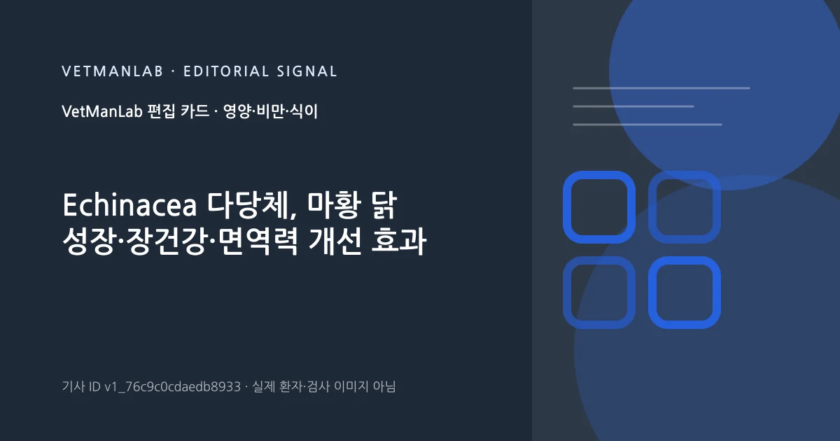 VetManLab 편집용 정보 카드: Echinacea 다당체, 마황 닭 성장·장건강·면역력 개선 효과. 실제 환자나 검사 사진이 아닌 기사 주제 안내 그래픽입니다.
