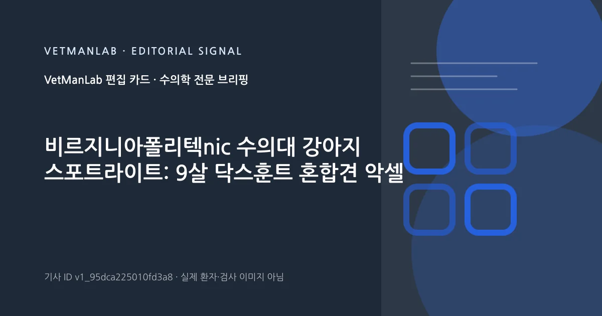 VetManLab 편집용 정보 카드: 비르지니아폴리텍nic 수의대 강아지 스포트라이트: 9살 닥스훈트 혼합견 악셀. 실제 환자나 검사 사진이 아닌 기사 주제 안내 그래픽입니다.