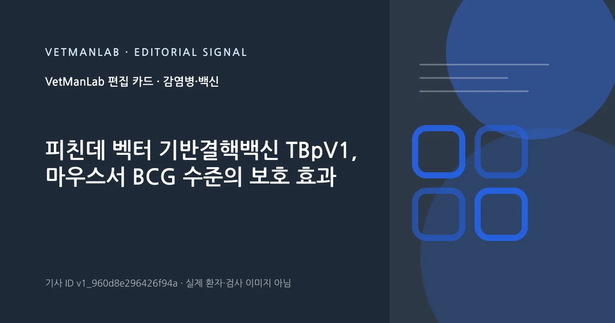 VetManLab 편집용 정보 카드: 피친데 벡터 기반결핵백신 TBpV1, 마우스서 BCG 수준의 보호 효과. 실제 환자나 검사 사진이 아닌 기사 주제 안내 그래픽입니다.