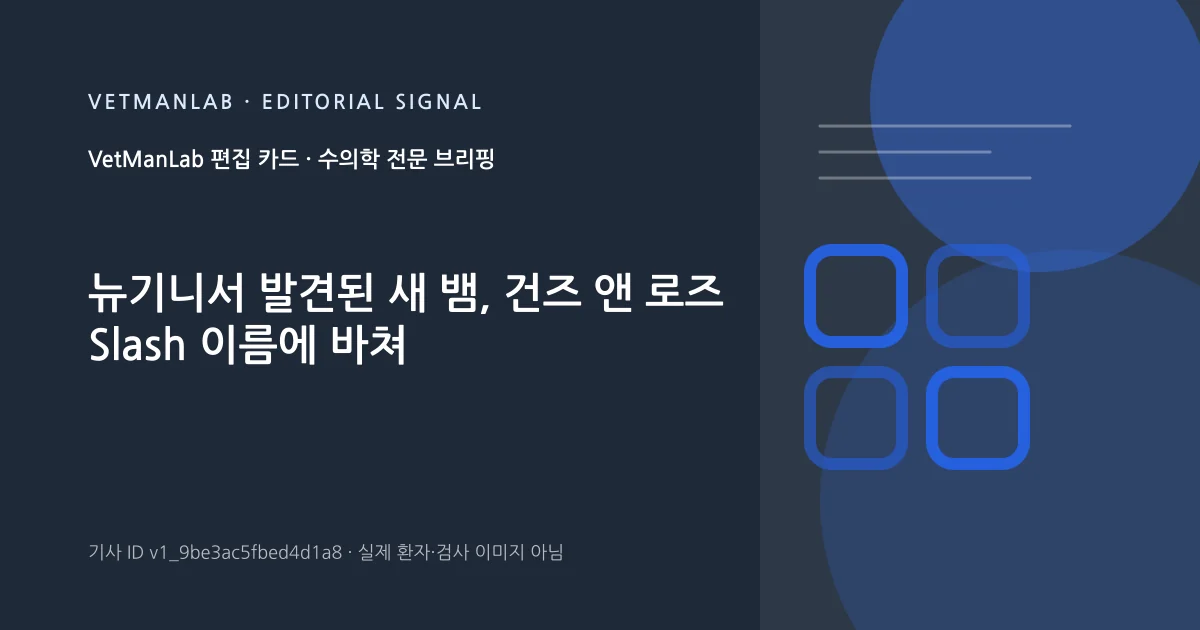 VetManLab 편집용 정보 카드: 뉴기니서 발견된 새 뱀, 건즈 앤 로즈 Slash 이름에 바쳐. 실제 환자나 검사 사진이 아닌 기사 주제 안내 그래픽입니다.