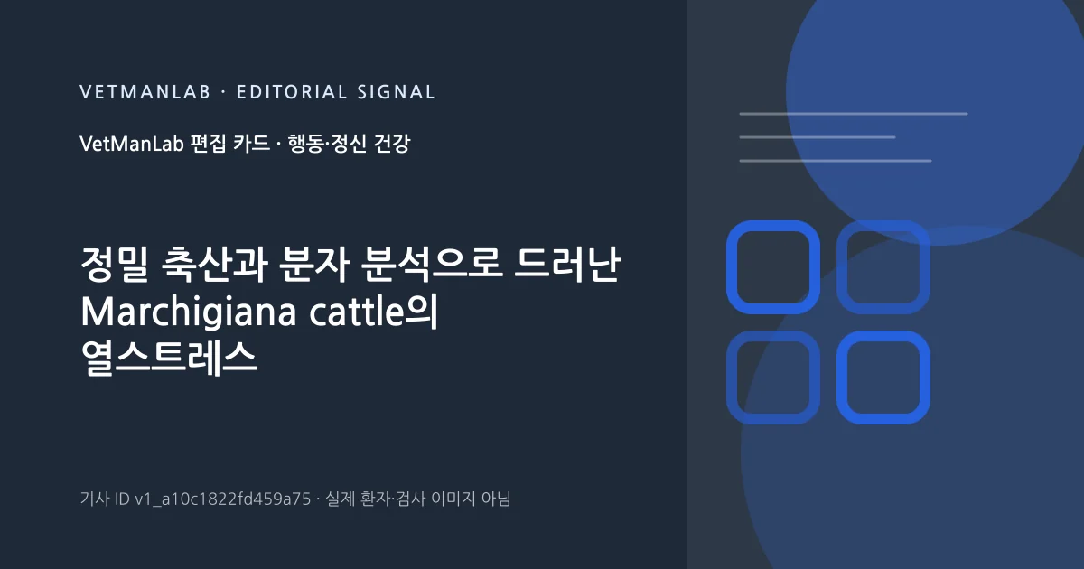 VetManLab 편집용 정보 카드: 정밀 축산과 분자 분석으로 드러난 Marchigiana cattle의 열스트레스 회복력 특성. 실제 환자나 검사 사진이 아닌 기사 주제 안내 그래픽입니다.