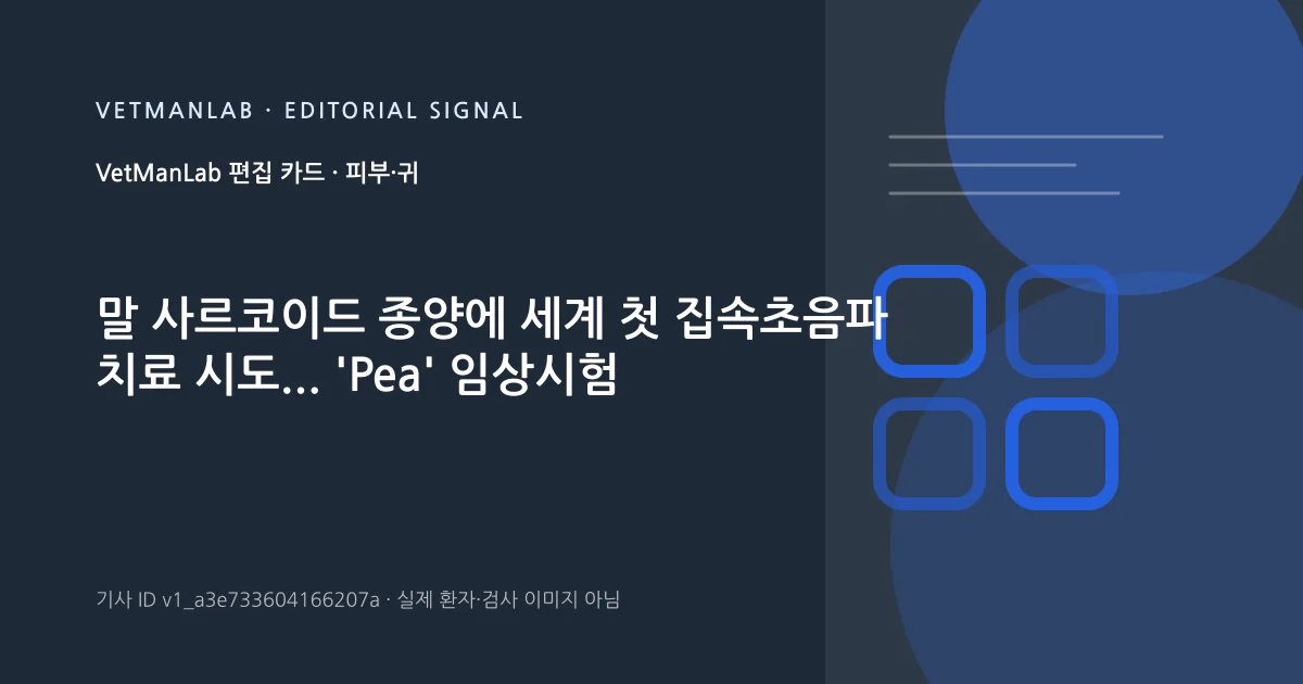 VetManLab 편집용 정보 카드: 말 사르코이드 종양에 세계 첫 집속초음파 치료 시도... 'Pea' 임상시험. 실제 환자나 검사 사진이 아닌 기사 주제 안내 그래픽입니다.