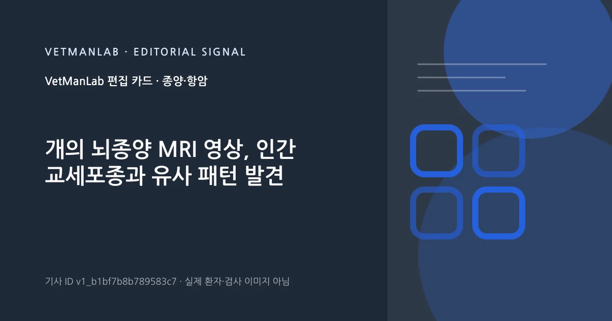 VetManLab 편집용 정보 카드: 개의 뇌종양 MRI 영상, 인간 교세포종과 유사 패턴 발견. 실제 환자나 검사 사진이 아닌 기사 주제 안내 그래픽입니다.