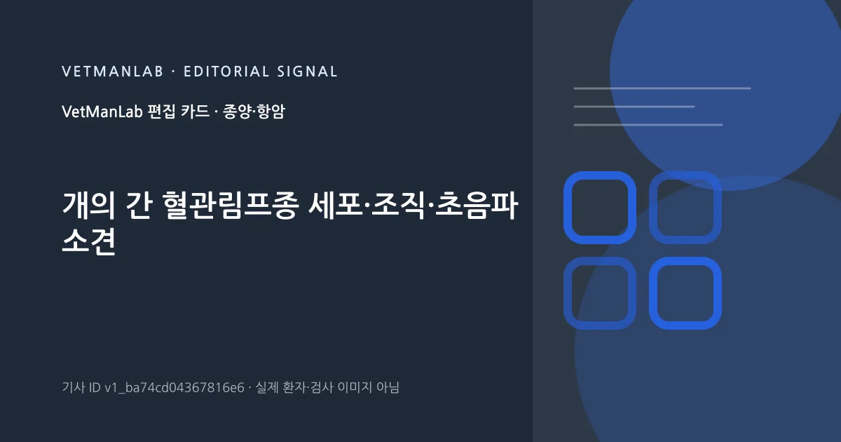 VetManLab 편집용 정보 카드: 개의 간 혈관림프종 세포·조직·초음파 소견. 실제 환자나 검사 사진이 아닌 기사 주제 안내 그래픽입니다.